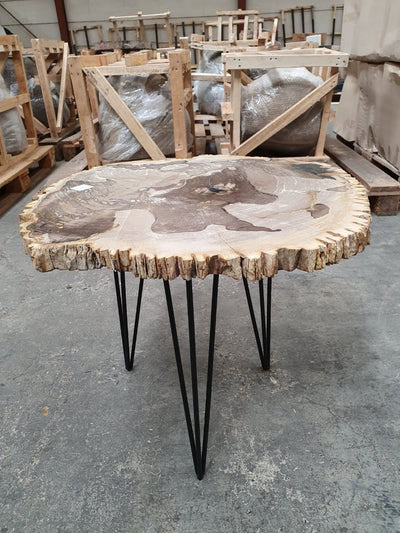 Salontafel met versteend hout tafelblad en zwart metalen onderstel. Het blad is gepolijst en bruin beige gevlekt van kleur.