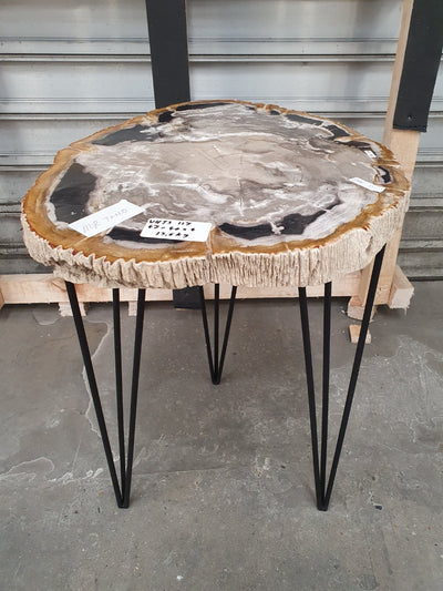 Versteend hout salontafel met zwart metalen onderstel. Het versteend hout tafelblad is grijs zwart met goudgeel van kleur.